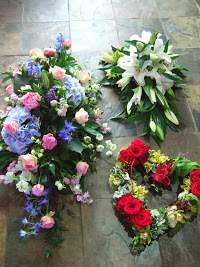 hedgehogg florist 1066798 Image 1